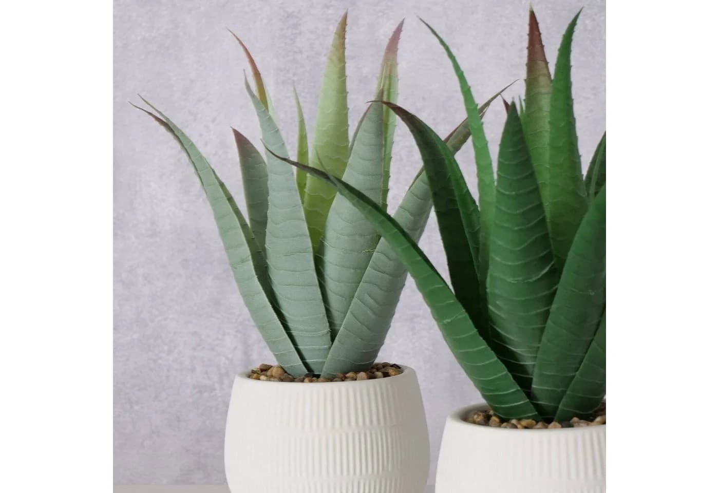 Kunstpflanze Aloe MONDRAGO 29 cm - BOLTZE GRUPPE - Bild 4