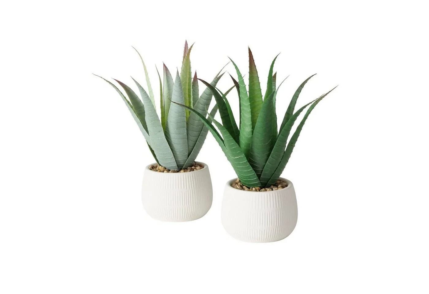 Kunstpflanze Aloe MONDRAGO 29 cm - BOLTZE GRUPPE - Bild 5