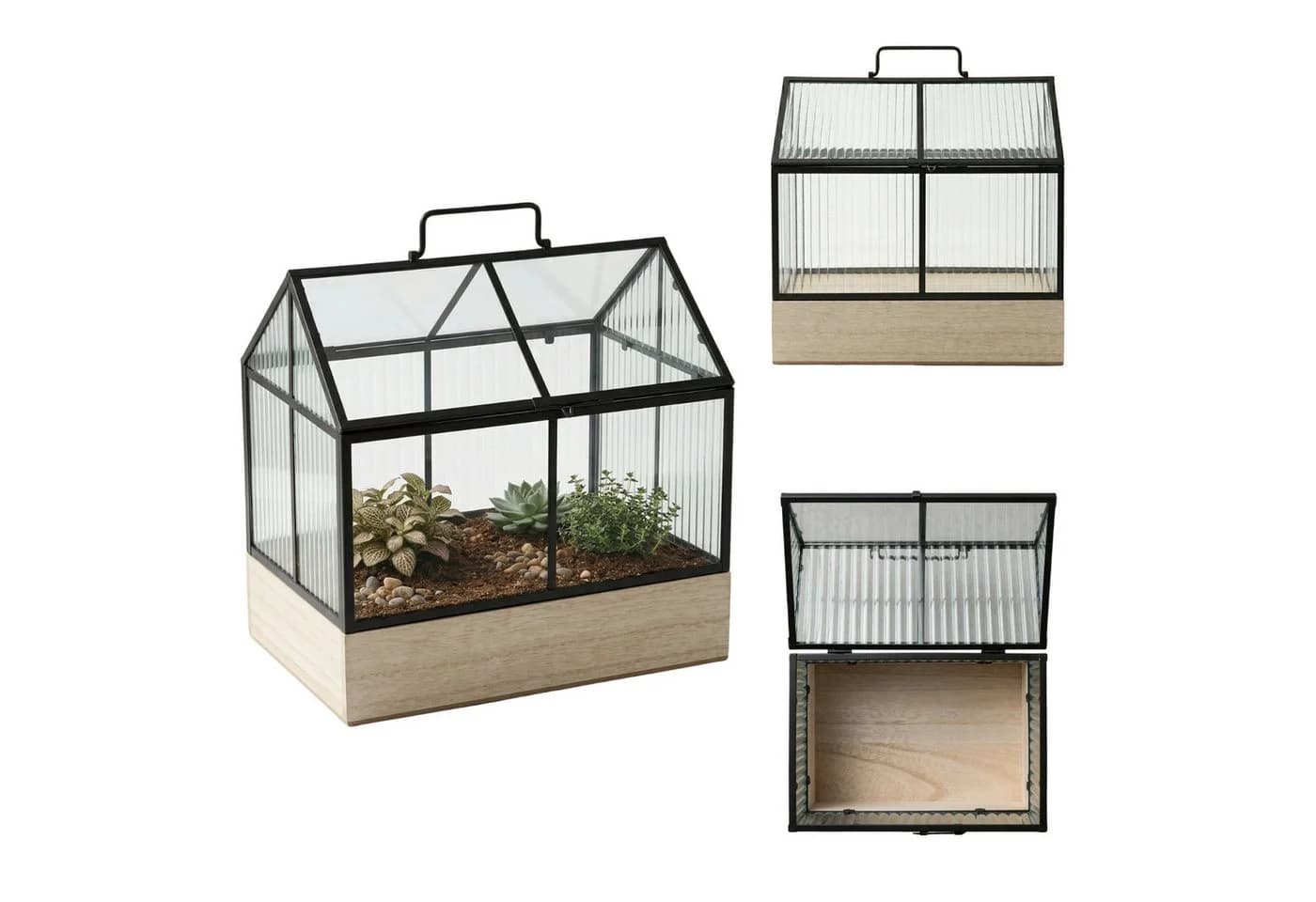 EDAXO Mini-Gewächshaus KALA mit Metallrahmen und Glas - Bild 3