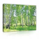 WALLARENA Leinwandbild Natur Bunt Full-HD-Druck Bild 2