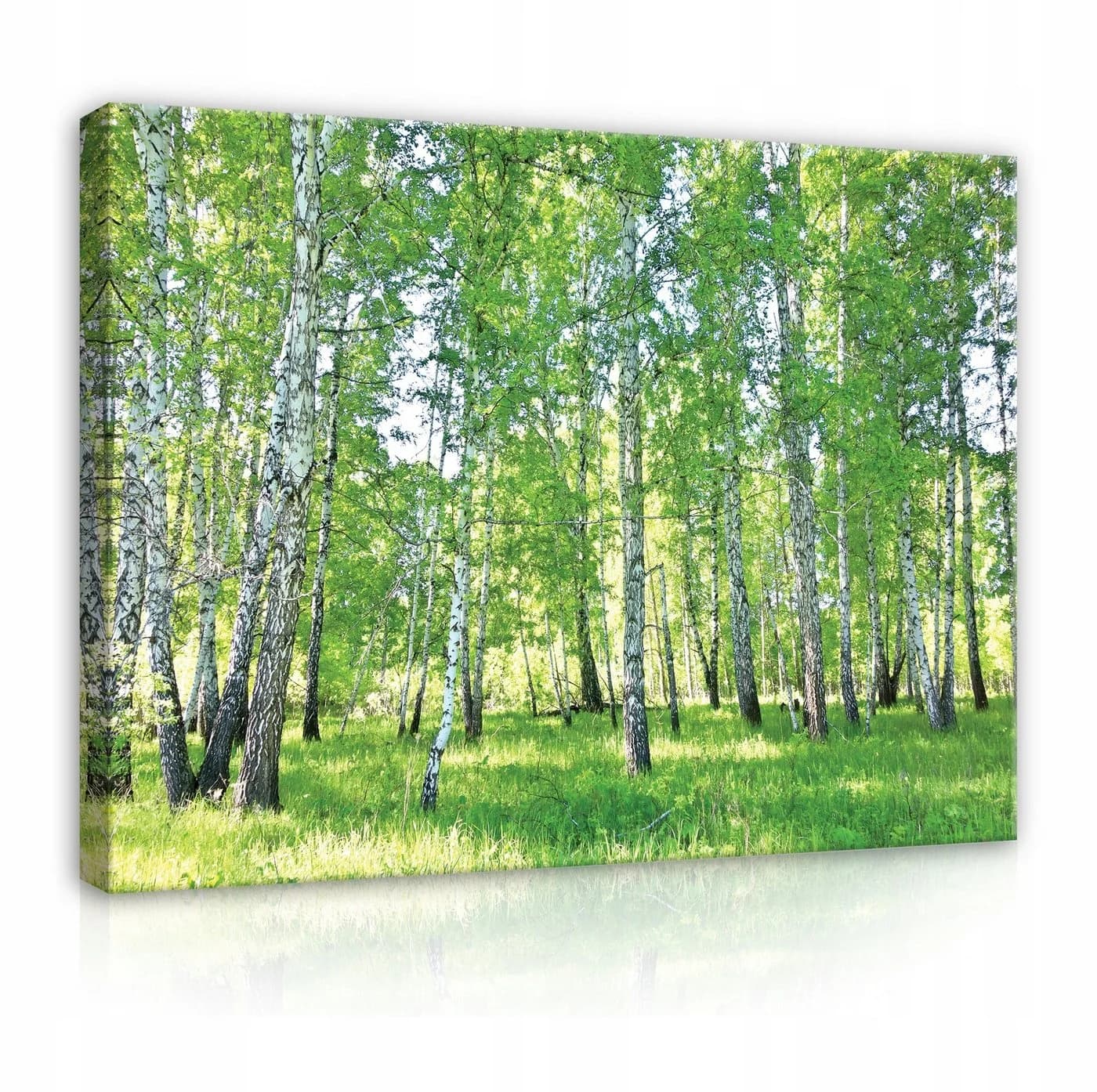 WALLARENA Leinwandbild Natur Bunt Full-HD-Druck - Bild 2