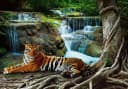 Wallarena Fototapete Wasserfall Tiger Tiere Wald Natur Landschaft Bild 4