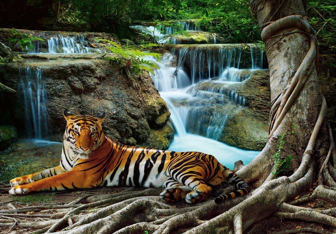 Wallarena Fototapete Wasserfall Tiger Tiere Wald Natur Landschaft - Bild 4