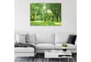 WALLARENA Leinwandbild Bäume Grün 100x70cm Bild 1