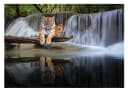 WALLARENA Fototapete Wasserfall Modern Bunt Vlies Bild 2