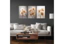Wallarena Poster Natur Set 3-teilig Modern Vlies Bunt Bild 1