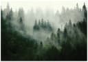 Wallarena Fototapete Wald im Nebel Grün Vlies Bild 2