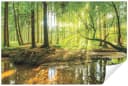 WALLARENA Fototapete Natur Vlies Full-HD Druck Bild 2
