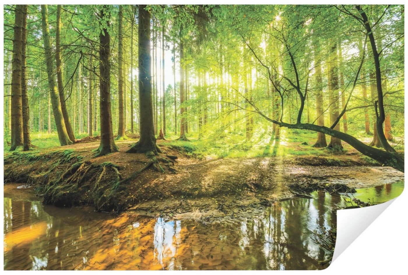 WALLARENA Fototapete Natur Vlies Full-HD Druck - Bild 2