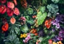 WALLARENA Fototapete Vlies Blumen Bunt Bild 1