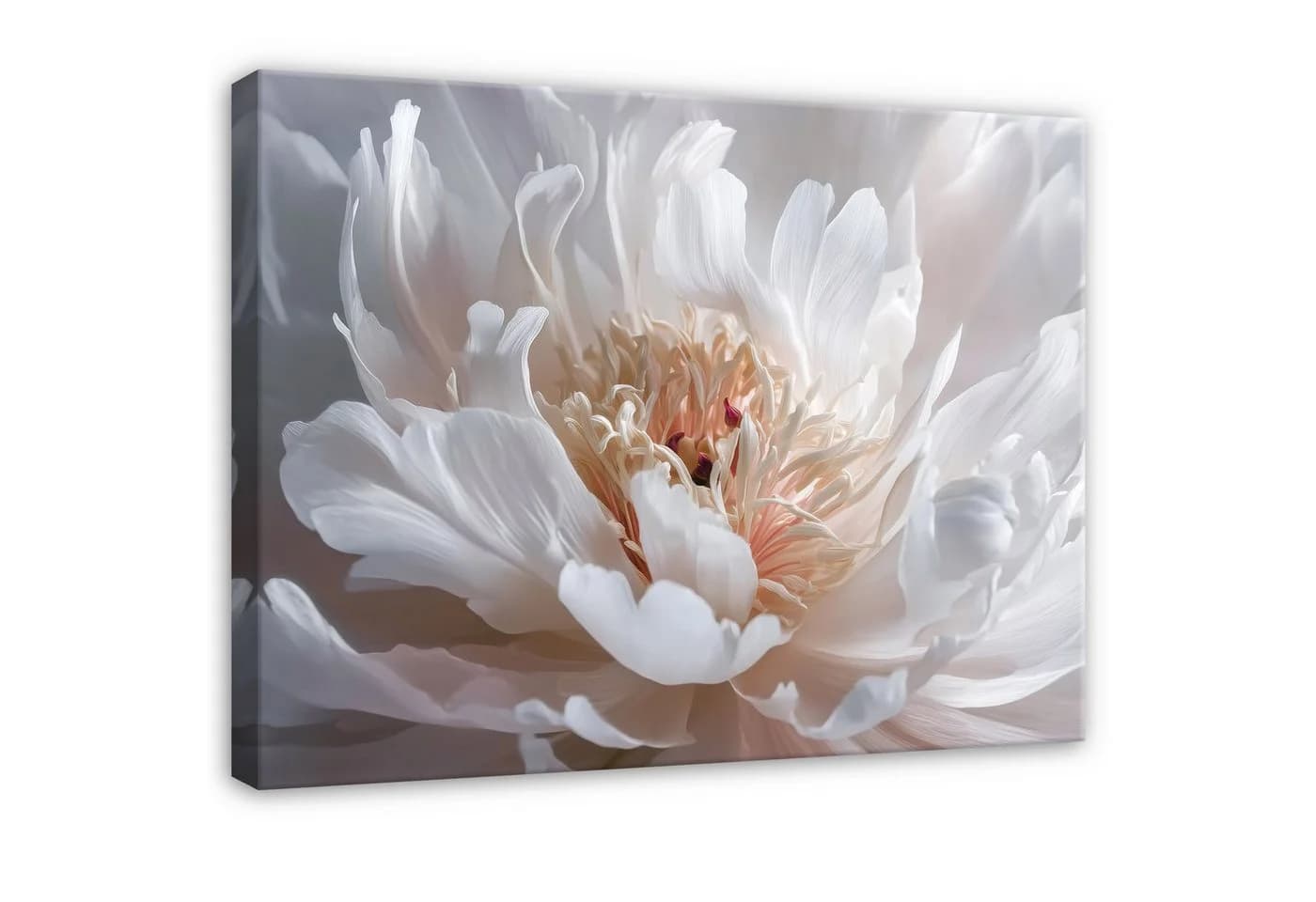 Wallarena Leinwandbild Blume Weiß Modern XXL Wandbild Natur - Bild 2
