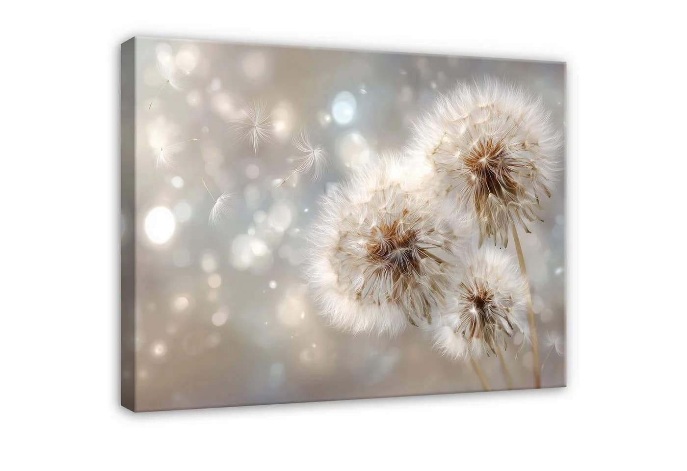 Wallarena Leinwandbild Dmuchawce Beige Pusteblumen - Bild 2