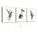 Wallarena Leinwandbild Blätter Pflanzen Weiß 3 Teile SET XXL Modern Natur Bild 2