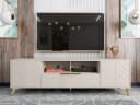 MIRJAN24 TV-Schrank Xylix 2D1SZ mit Metallgriffen Gold Bild 3