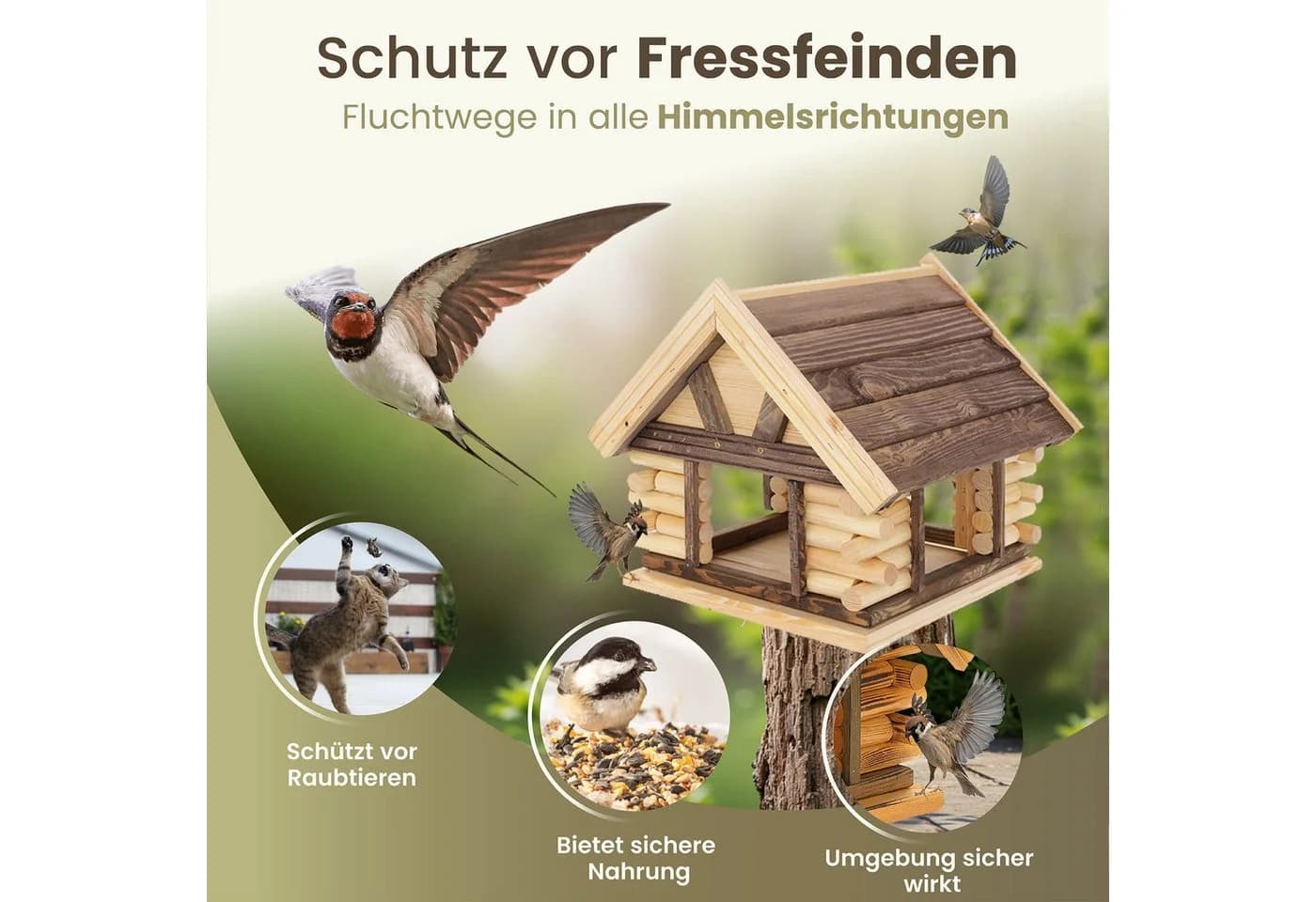 MAZUR Futterstation Vogelfutterhaus aus Naturholz Wetterfest - Bild 3