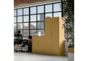 Jan Nowak Aktenschrank Metall abschließbar 90 cm BEATA Beige Bild 3