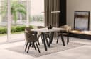 Endo-Moebel Esstisch Lungo XXL ausziehbar beige/silber Metallgestell Bild 1