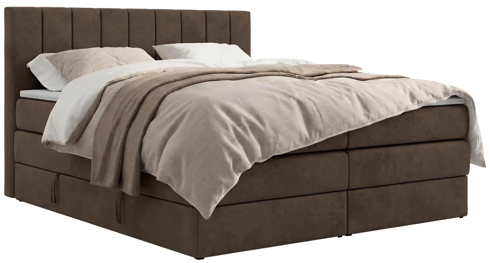 BOXSPRINGBETT ALVER KING 180/200 Braun Velvet H3