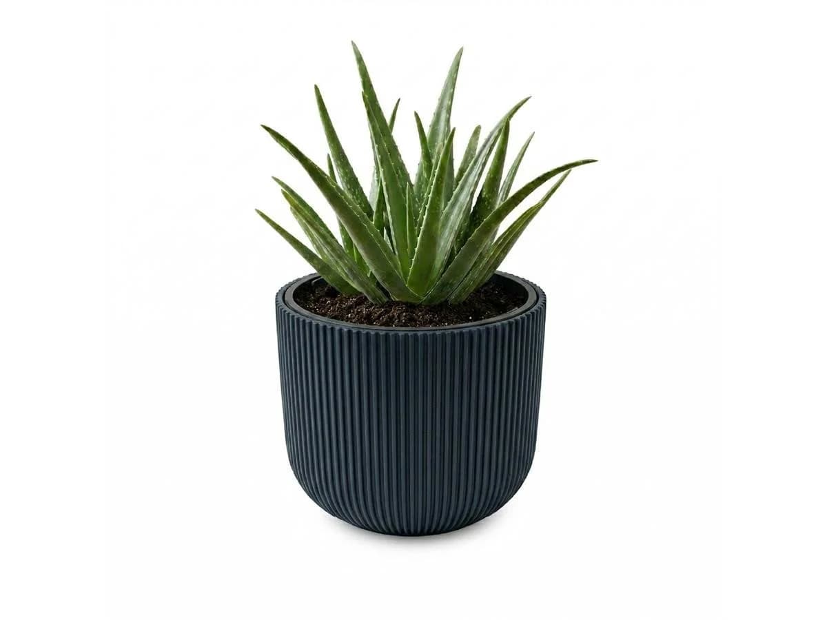 Prosperplast Blumentopf Milly Anthrazit mit herausnehmbarem Pflanzeinsatz - Bild 2