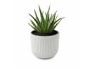 Prosperplast Blumentopf Milly Weiß mit herausnehmbarem Pflanzeinsatz Bild 2