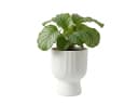 Prosperplast Blumentopf Milly Round Weiß mit Pflanzeinsatz Bild 1