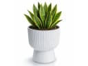 Prosperplast Blumentopf Milly Round Weiß mit Pflanzeinsatz Bild 2