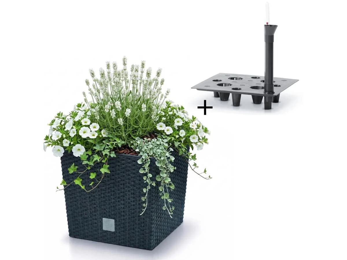 Prosperplast Blumentopf Rato Low Anthrazit mit Bewässerungssystem - Bild 2
