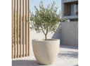 Prosperplast Pflanzkübel rund Ø58cm Sand Kunststoff UV-Schutz Bild 5