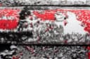 Mazovia Designteppich Grau Kurzflor Modern Bild 5