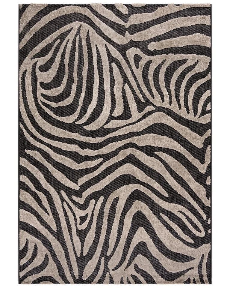 Mazovia Designteppich Tierisch Terrasse 120x170 cm Beige/Schwarz/Creme - Bild 2