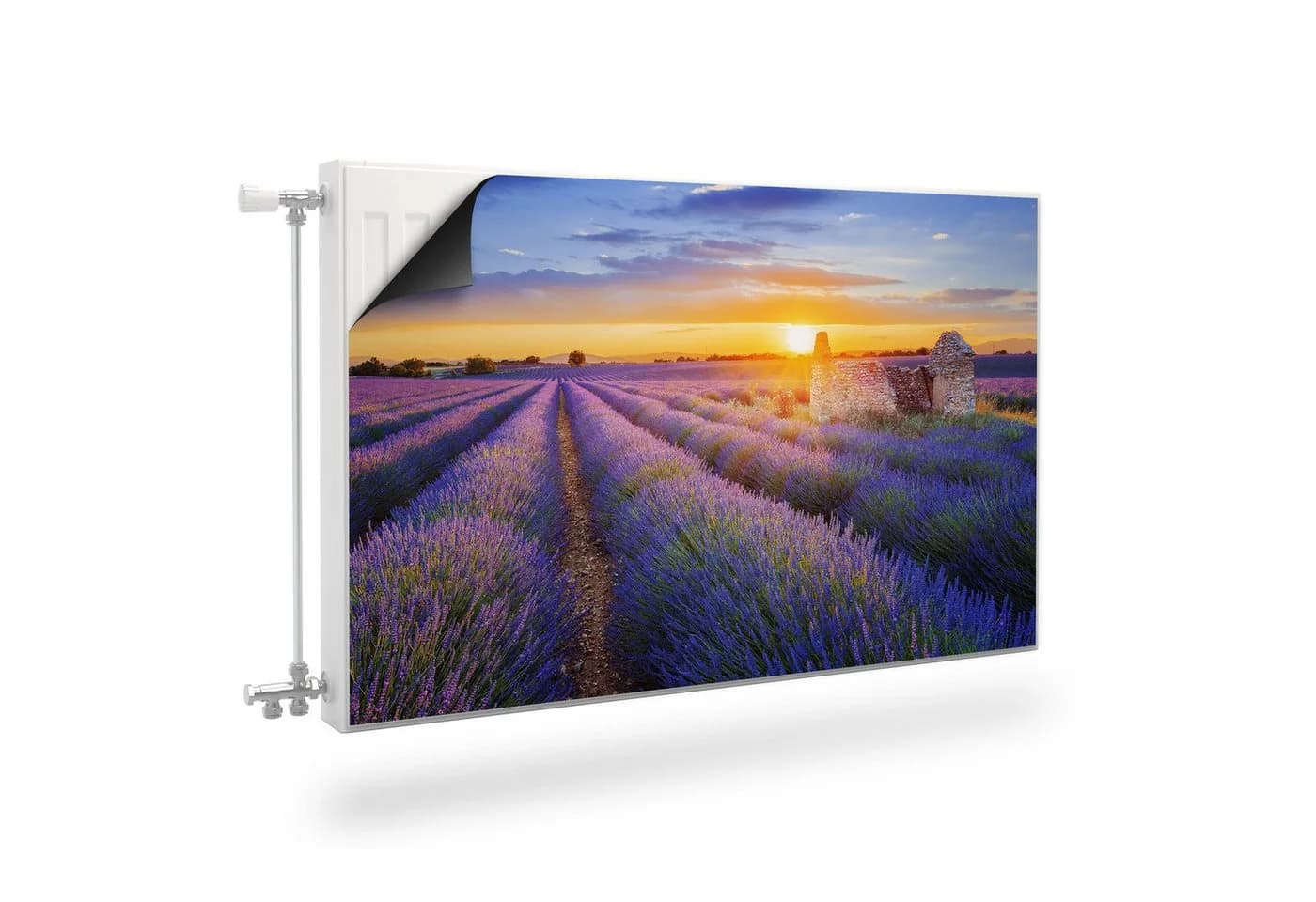 Muralo Magnetfolie Heizkörperverkleidung Lavendelfeld Violett - Bild 2