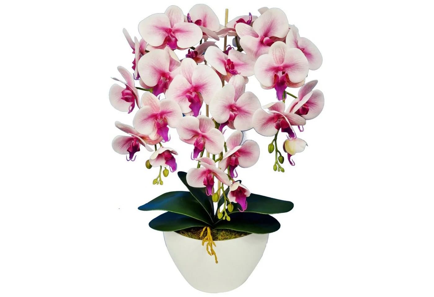 Künstliche Orchidee Damich 60 cm Weiß