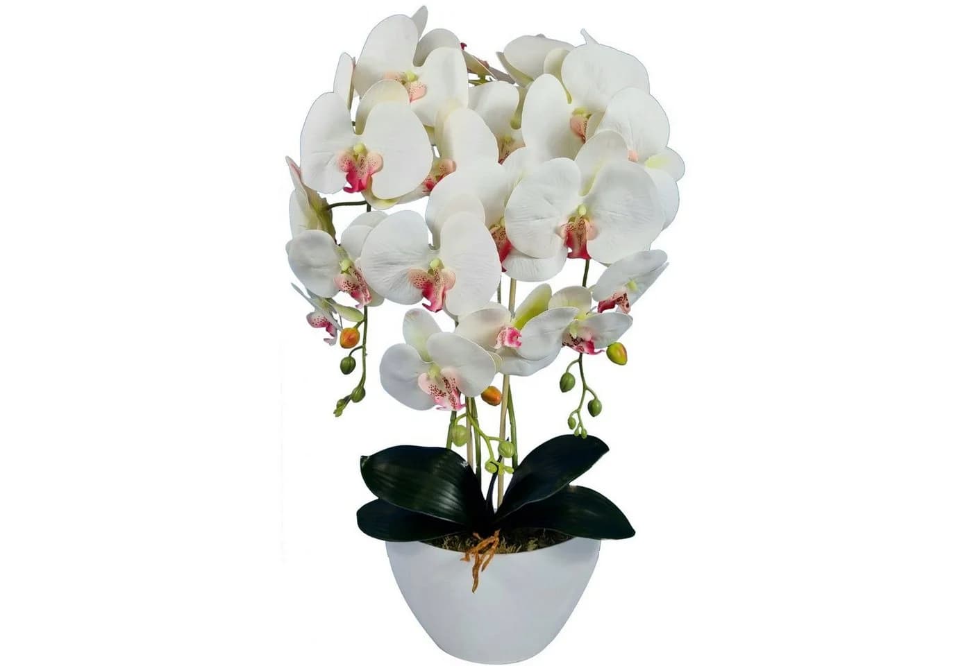 Damich Künstliche Orchidee 60 cm