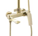 wohnwerk.idee Duschsystem Avalon Regendusche Handbrause Gold Matt Schwarz Grau Bild 3