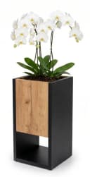TREND WERK Blumenständer Loft-Design Holzoptik Braun Bild 2