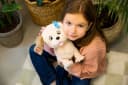 Sarcia.eu Kuscheltier Puppy Luv - Interaktiver Labradorhund Plüschhund Meggy 2+ Bild 5