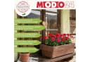 Modo24 Blumenkasten Pflanzkasten aus Kiefernholz rechteckig Bild 3