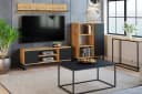 Raumhirsch Furniture Lowboard Focus Schwarz/Gold Bild 4