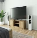 Raumhirsch Furniture TV-Lowboard 120 cm für TV bis 65" Bild 1