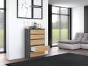 Raumhirsch Furniture Kommode Sideboard 70 cm Anthrazit Modern Bild 3