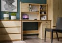 Raumhirsch Furniture Schreibtisch CHESTER mit Schublade und Schrank Bild 2