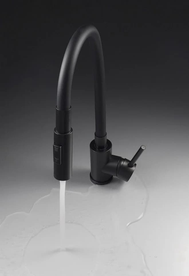 Deante LUNO Küchenarmatur Schwarz mit Handbrause und 2 Strahlarten