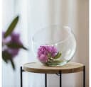 Ecoglassworks Dekoschale Slant Transparent Handgefertigt Bild 1