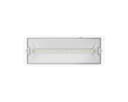 Braytron LED Notleuchte Rettungszeichenleuchte IP65 Bild 5