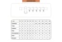 SN DECO GROUP Gardinenstange Cafiro Komplettset Weiß 1-läufig Bild 5