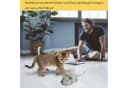 KINSI Interaktives Katzenspielzeug Maus mit Sensor & Fernbedienung Bild 4