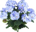 Agger Kunstblumenstrauß Geranie Rot 4 Bündel Seidenblumen Bild 2
