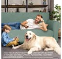 Agger Sofahusse Stretch Sofabezug Hellgrün Rutschfest Bild 3