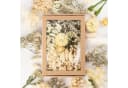 Agger Trockenblumen Klein mit Papierbox für Deko & Basteln Bild 1