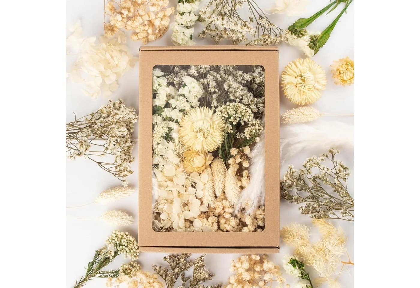 Agger Trockenblumen Klein mit Papierbox für Deko & Basteln
